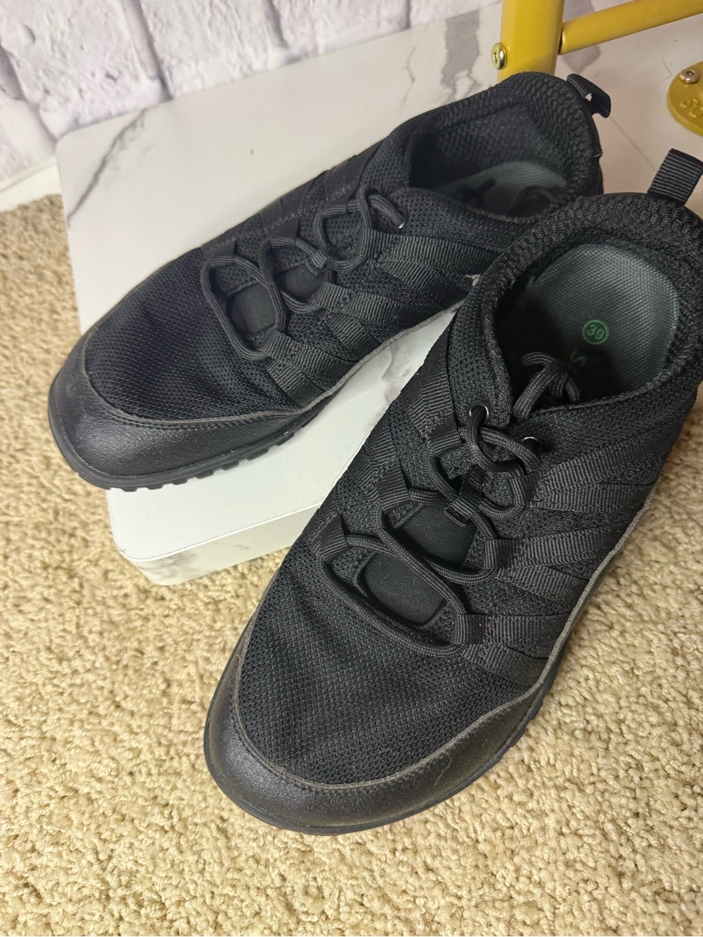 Pre-loved | Saguaro Black Forestep | EU 39